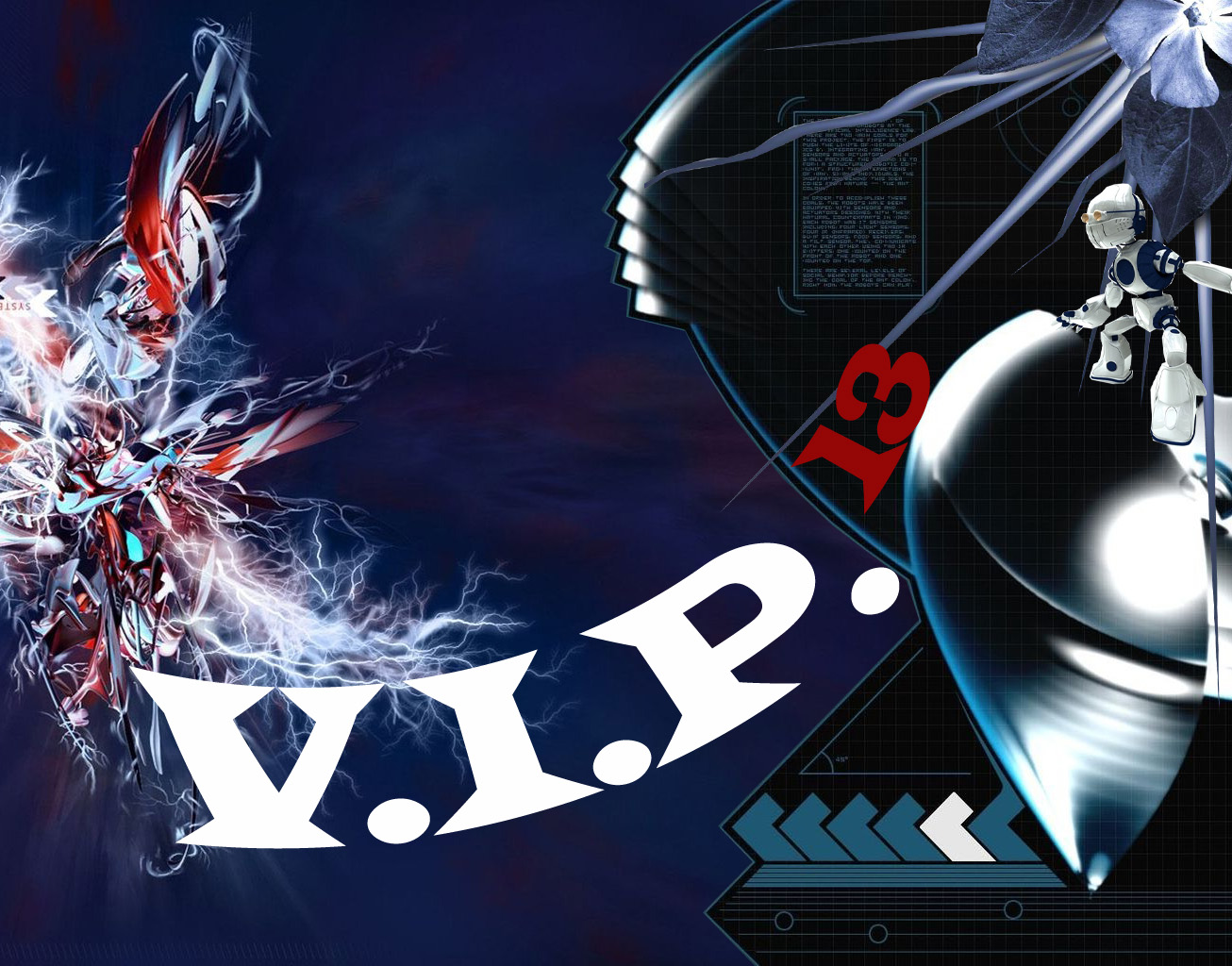 vip.jpg